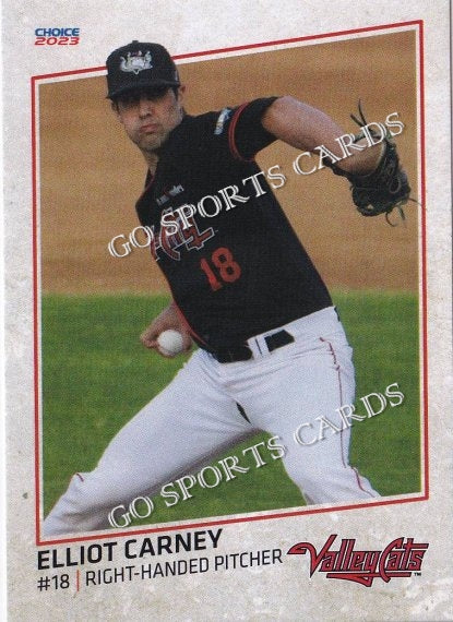 2023 Tri City ValleyCats Elliot Carney