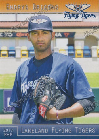 2017 Lakeland Flying Tigers Endrys Briceno