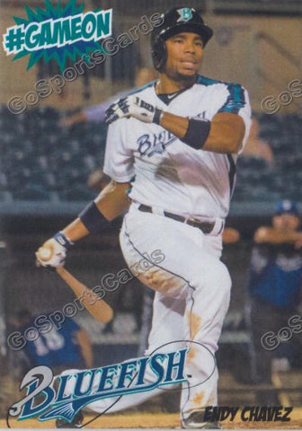 2016 Bridgeport Bluefish Endy Chavez