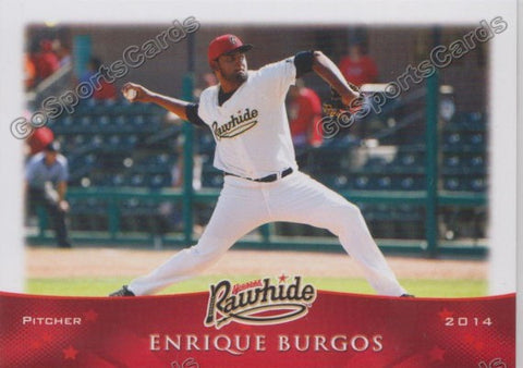 2014 Visalia Rawhide Enrique Burgos