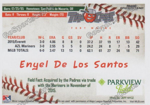 2016 Fort Wayne Tin Caps Enyel De Los Santos  Back of Card