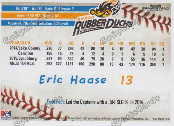 2016 Akron Aeros Eric Haase Back of Card
