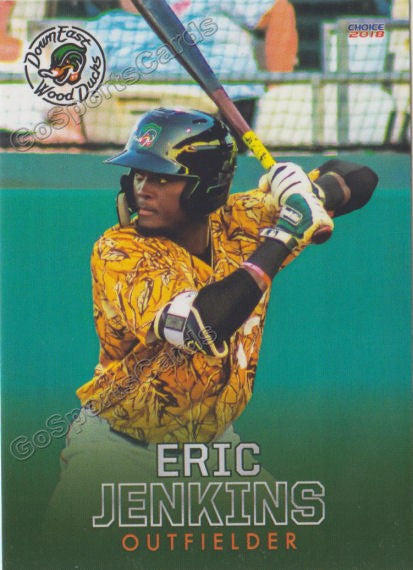2018 Down East Wood Ducks Eric Jenkins