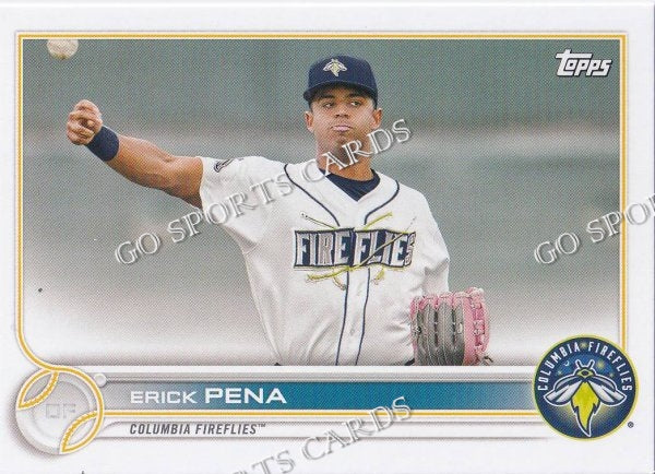 2022 Topps Pro Debut Erick Pena PD-163