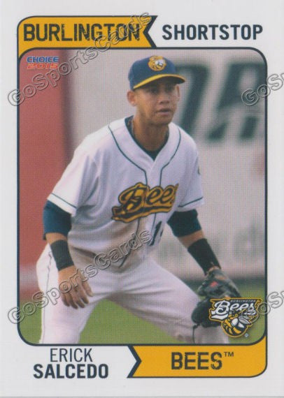 2015 Burlington Bees Erick Salcedo