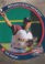 2015 Brevard County Manatees Eric Marzec