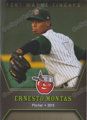 2015 Fort Wayne Tincaps Ernesto Montas