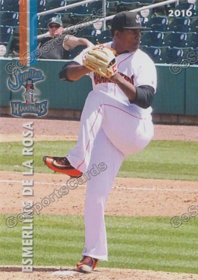 2016 Jupiter Hammerheads Esmerling De La Rosa
