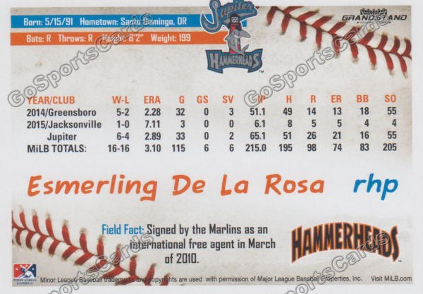 2016 Jupiter Hammerheads Esmerling De La Rosa  Back of Card