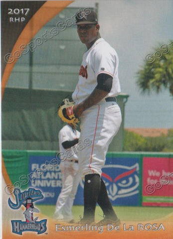 2017 Jupiter Hammerheads Esmerling De La Rosa