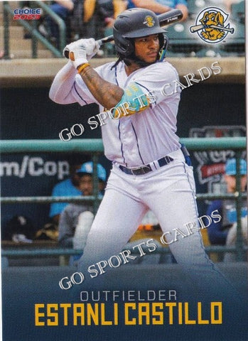 2023 Charleston RiverDogs Estanli Castillo