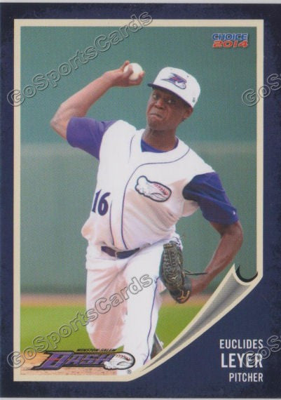 2014 Winston Salem Dash Euclides Leyer
