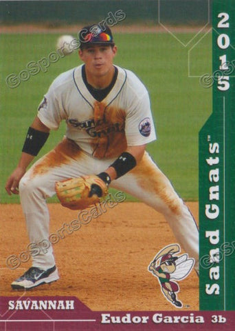 2015 Savannah Sand Gnats Eudor Garcia