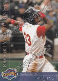 2012 Brooklyn Cyclones Eudy Pina
