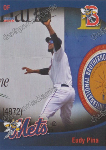 2015 Binghamton Mets Eudy Pina