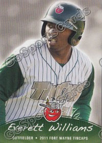 2011 Fort Wayne TinCaps Everett Williams