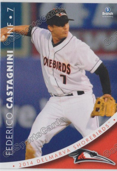 2014 Delmarva Shorebirds Federico Castagnini