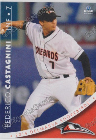2014 Delmarva Shorebirds Federico Castagnini