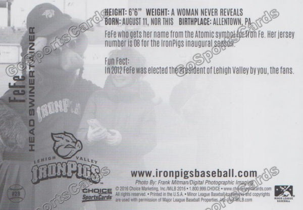 2016 Lehigh Valley IronPigs FeFe Mascot Back of Card
