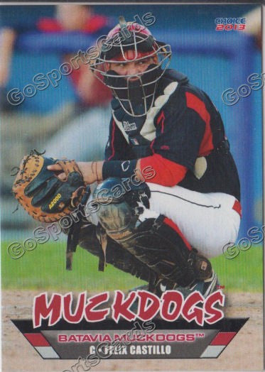 2013 Batavia Muckdogs Felix Castillo