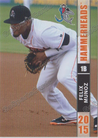 2015 Jupiter Hammerheads Felix Munoz