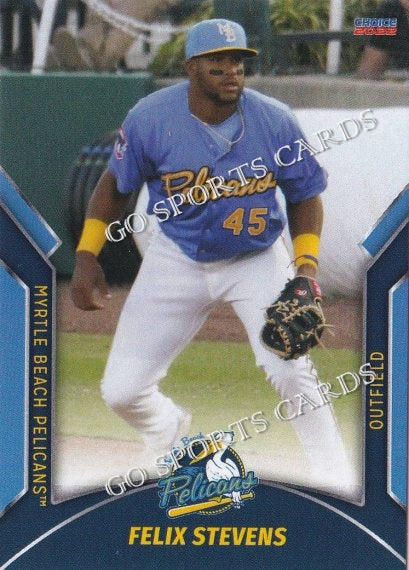 myrtle beach pelicans uniforms 2022