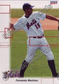 2007 Binghamton Mets Fernando Martinez