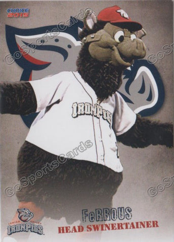 2015 Lehigh Valley IronPigs Ferrous Mascot 2nd