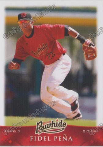 2014 Visalia Rawhide Fidel Pena