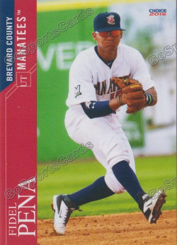2016 Brevard County Manatees Fidel Pena
