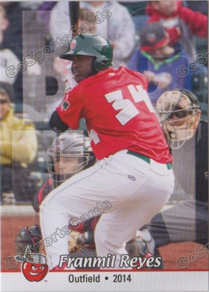 2014 Fort Wayne TinCaps Franmil Reyes