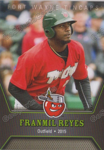 2015 Fort Wayne Tincaps Franmil Reyes
