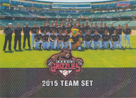 2015 Fresno Grizzlies Checklist Team Photo Black
