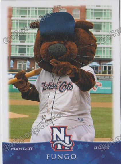 2014 New Hampshire Fisher Cats Fungo