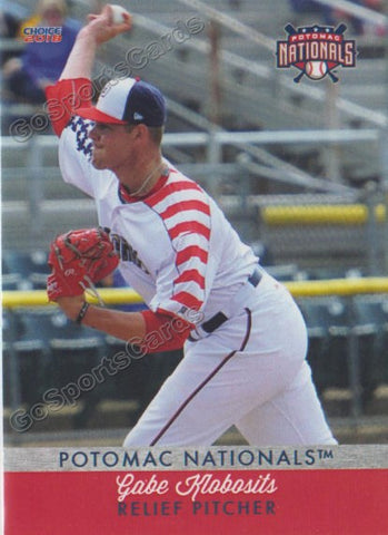 2018 Potomac Nationals Gabe Klobosits