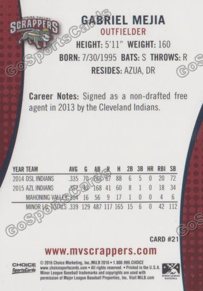 2016 Mahoning Valley Scrappers Gabriel Mejia Back of Card