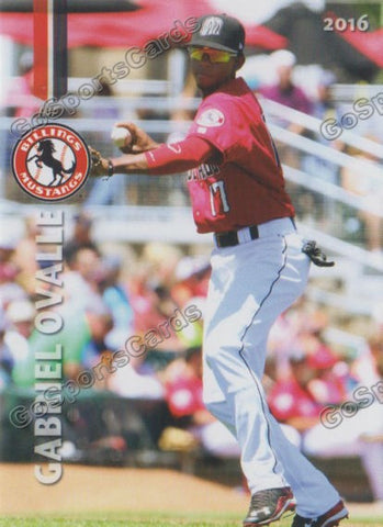 2016 Billings Mustangs Gabriel Ovalle