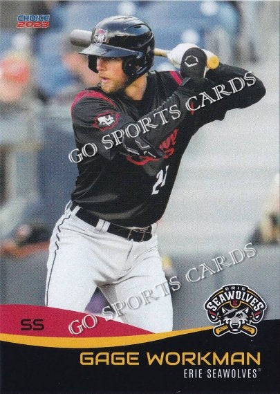 2023 Erie SeaWolves Gage Workman