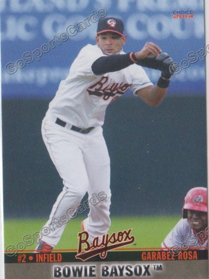 2014 Bowie Baysox Garabez Rosa
