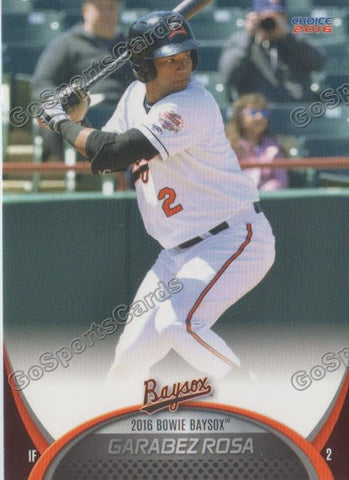 2016 Bowie Baysox Garabez Rosa