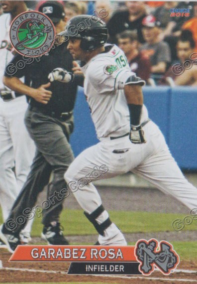 2016 Norfolk Tides Garabez Rosa