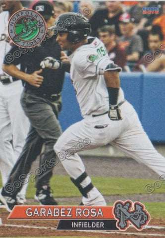 2016 Norfolk Tides Garabez Rosa