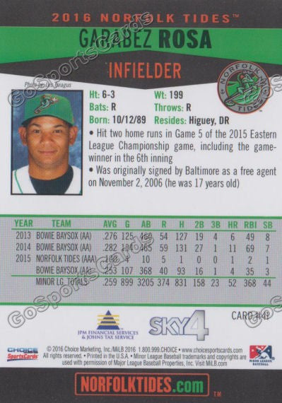 2016 Norfolk Tides Garabez Rosa Back of Card