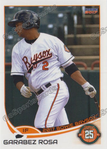 2017 Bowie Baysox Garabez Rosa