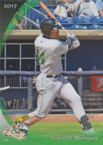 2017 Clinton LumberKings Gareth Morgan