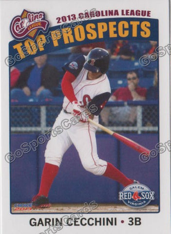 2013 Carolina League Top Prospect Garin Cecchini
