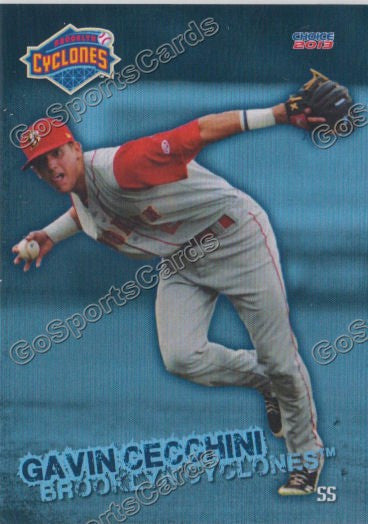 2013 Brooklyn Cyclones Team Set