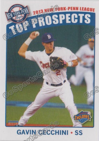2013 New York Penn League Top Prospect NYPL Gavin Cecchini
