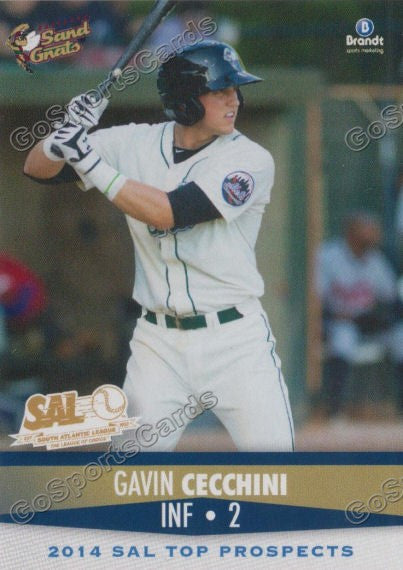 2014 South Atlantic League Top Prospect Gavin Cecchini