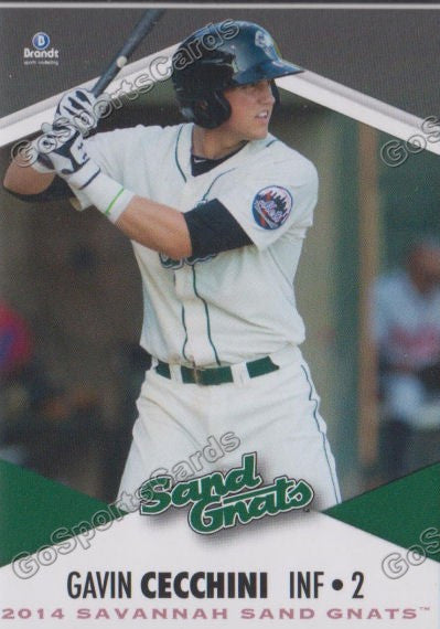2014 Savannah Sand Gnats Gavin Cecchini